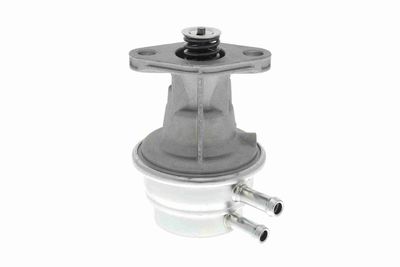 POMPA COMBUSTIBIL VAICO V3004831 9