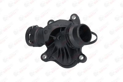 FLANSA LICHID RACIRE BIRTH 8992 2