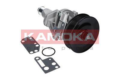 Water Pump, engine cooling T0142