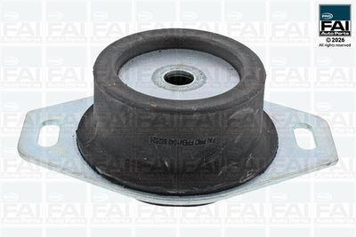 FAI AutoParts Variklio montavimas