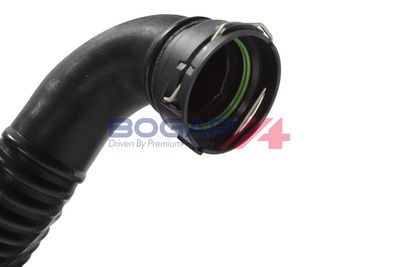 FURTUN EAR SUPRAALIMENTARE BOGAP B1711167 5