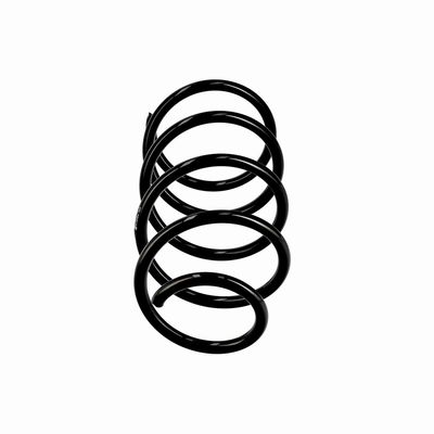 ARC SPIRAL EIBACH R10404 1