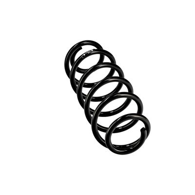 ARC SPIRAL EIBACH R10823 12