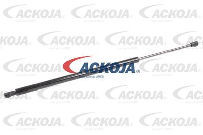 Газовая пружина, крышка багажник ACKOJA A38-0134 для NISSAN NOTE