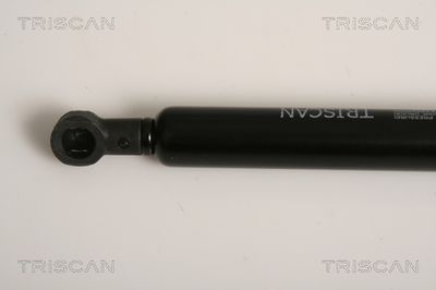 AMORTIZOR PORTBAGAJ TRISCAN 871011230 1