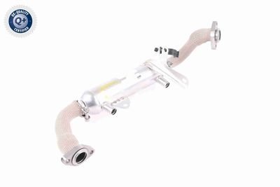 RADIATOR RECIRCULARE GAZE DE ESAPAMENT VEMO V24630020 8