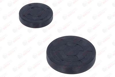 CHIT LANT DE DISTRIBUTIE BIRTH 6501 9