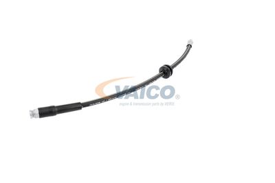 FURTUN FRANA VAICO V220628 20