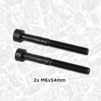 SURUB SUPORT AX CU CAME