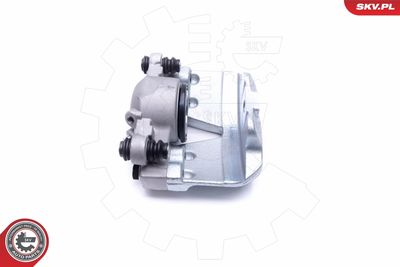 Brake Caliper 46SKV252