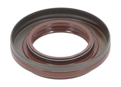 SIMERING DIFERENTIAL PAYEN NA5494 1