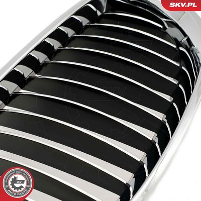GRILA RADIATOR ESEN SKV 66SKV168 7