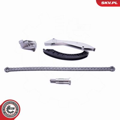 CHIT LANT DE DISTRIBUTIE ESEN SKV 21SKV133 1