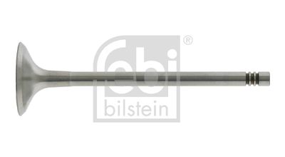 Выпускной клапан FEBI BILSTEIN 26527 для VW PHAETON