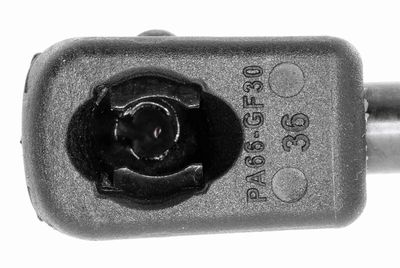 GASFEDER KOFFER-/LADERAUM VAICO V250421 3