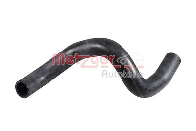 Radiator Hose 2421576