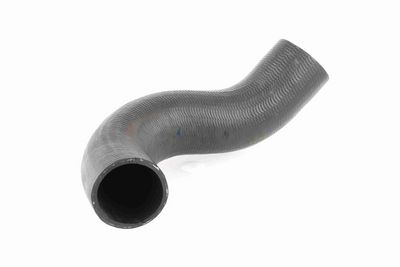 FURTUN EAR SUPRAALIMENTARE ACKOJA A380298 8