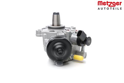 HOCHDRUCKPUMPE METZGER AUTOTEILE 0830158 12