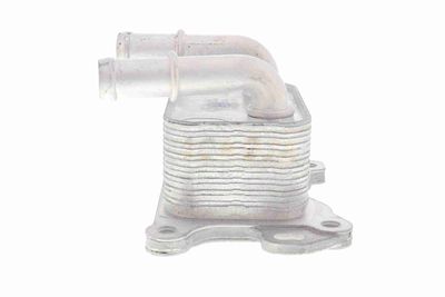 RADIATOR ULEI ULEI MOTOR ACKOJA A38600004 4