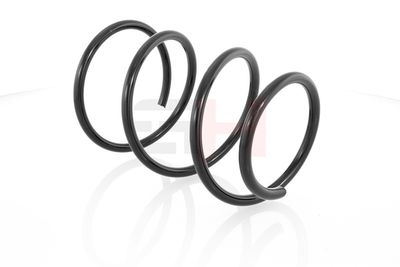 ARC SPIRAL GH GH229305 26