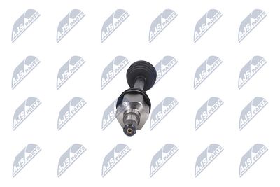 PLANETARA NTY NPWFR018 33