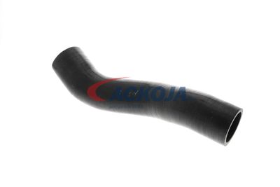 FURTUN EAR SUPRAALIMENTARE ACKOJA A389605 39