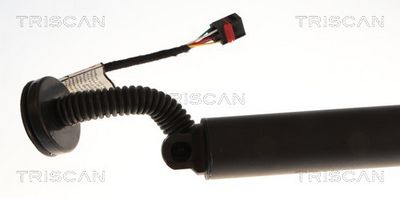 AMORTIZOR PORTBAGAJ TRISCAN 871027316 1