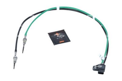 Sensor, Abgastemperatur