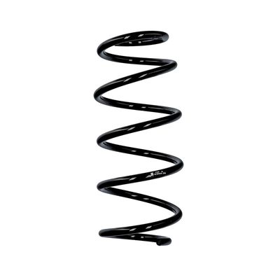 ARC SPIRAL EIBACH R10344 25
