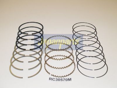 SEGMENT PISTON