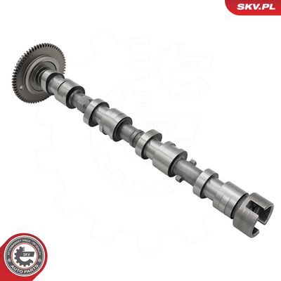 Vačkový hřídel ESEN SKV 80SKV064