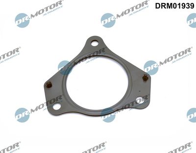 Gasket, exhaust pipe DRM01939