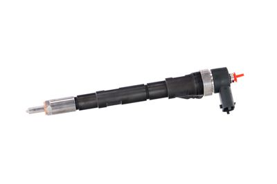 INJECTOR REMANTE 002003000018R 13