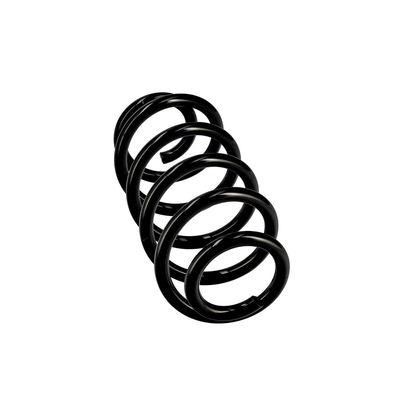 ARC SPIRAL EIBACH R10135 24