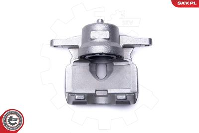 Brake Caliper 44SKV532