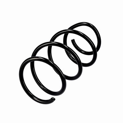 ARC SPIRAL EIBACH R10355 15