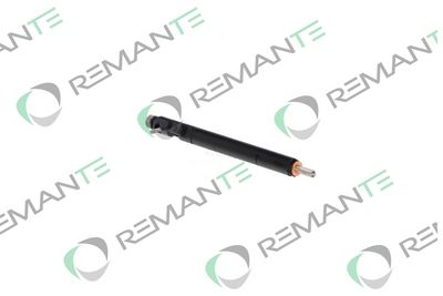INJECTOR REMANTE 002003000123R 3