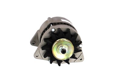 GENERATOR / ALTERNATOR REMANTE 011003000232R 55
