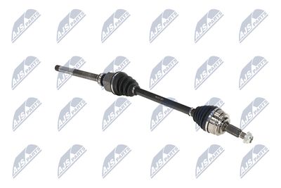 PLANETARA NTY NPWPE017 11