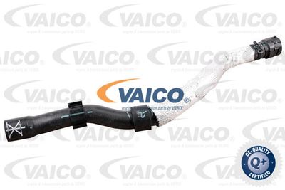 Kylarslang VAICO V10-4760