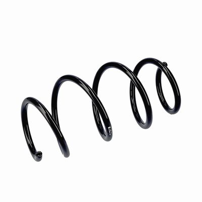 ARC SPIRAL EIBACH R19441 5