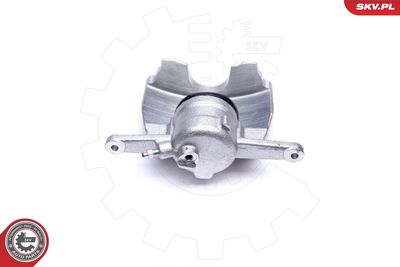 Brake Caliper 44SKV982