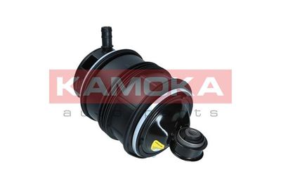 Air Spring, suspension 2079040