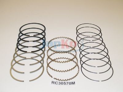 SEGMENT PISTON