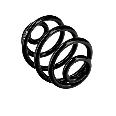 ARC SPIRAL EIBACH R10360 11