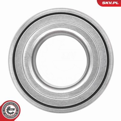 SET RULMENT ROATA ESEN SKV 85SKV095 3