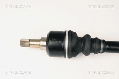 PLANETARA TRISCAN 854028633 1