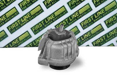 окачване, двигател FIRST LINE FEM4367