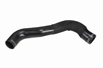 FURTUN EAR SUPRAALIMENTARE