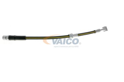 FURTUN FRANA VAICO V404110 38